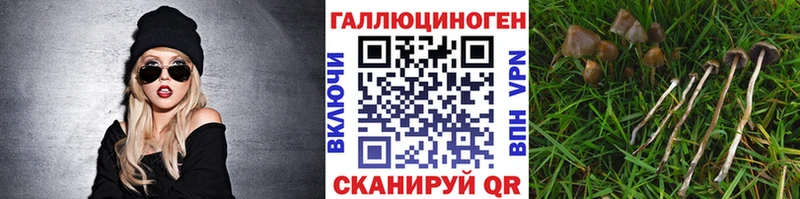 Галлюциногенные грибы Magic Shrooms  хочу наркоту  Сертолово 