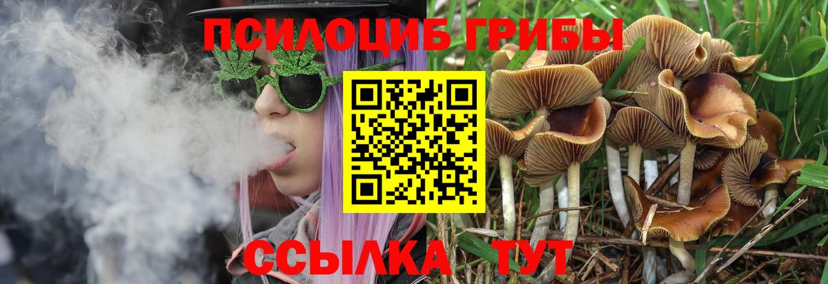 Галлюциногенные грибы прущие грибы Сертолово