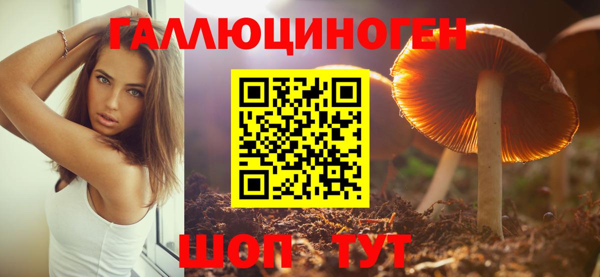 Сертолово  Псилоцибиновые грибы GOLDEN TEACHER  Псилоцибиновые грибы GOLDEN TEACHER  Вход с VPN 